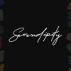 Serendipity text Printed T-shirt Mens logo